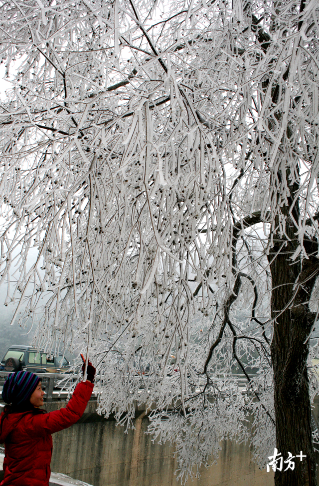 今冬的首場(chǎng)寒潮將于12月29日下午襲擊連州，最冷零下5度，提醒群眾做好御寒準(zhǔn)備。黃津 攝