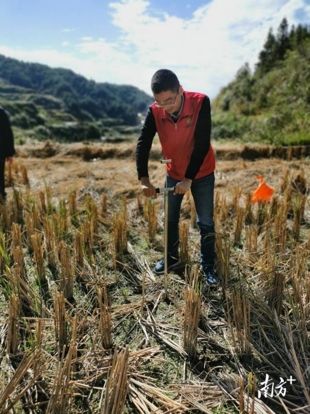 技術(shù)人員深入田間地頭開(kāi)展土壤取樣、分析。通訊員供圖