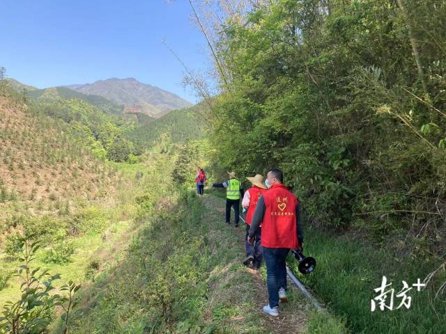 巡山。