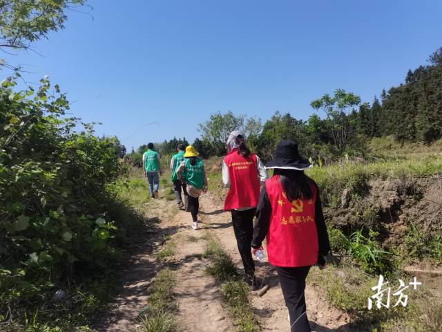 豐陽鎮(zhèn)的440余名黨群志愿者堅守先鋒崗，守護豐陽的綠水青山。
