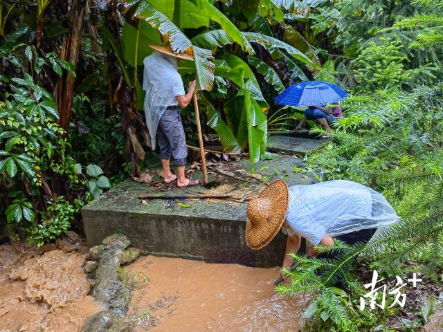 為保障陂嶺近三分之二村民用水，陂嶺村新老干部冒雨前往水源點解決集中供水問題。