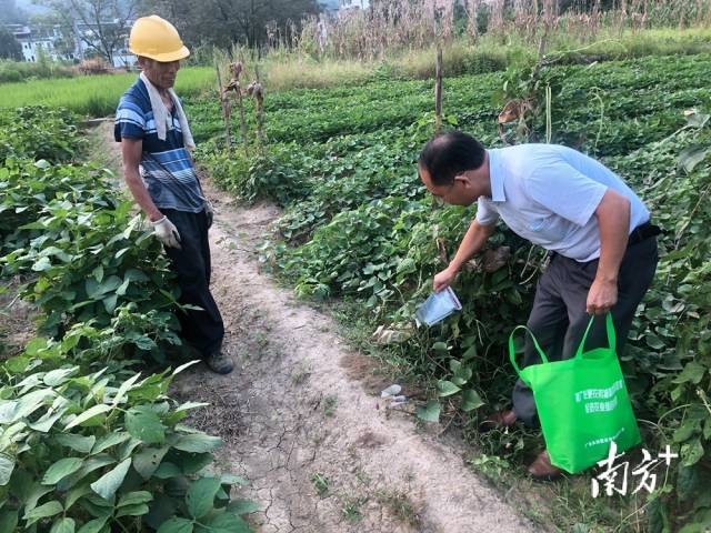 噴灑施藥。
