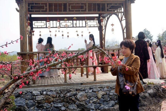 桃花節(jié)在九陂鎮(zhèn)開幕，迎來八方游客。清遠(yuǎn)日?qǐng)?bào)記者 周璐攝。