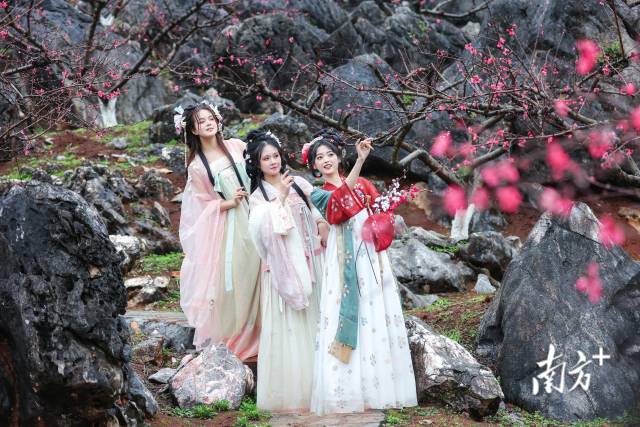 國風(fēng)少女打卡連州桃花季。